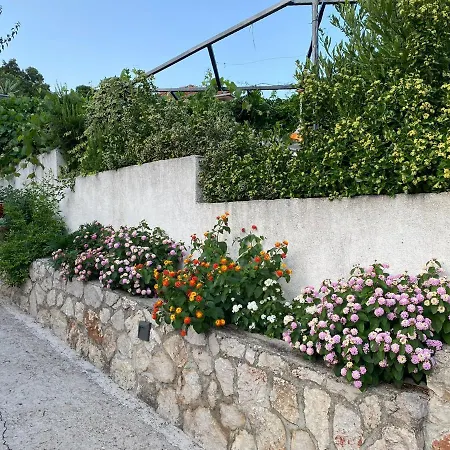 Mandi Vrbanj